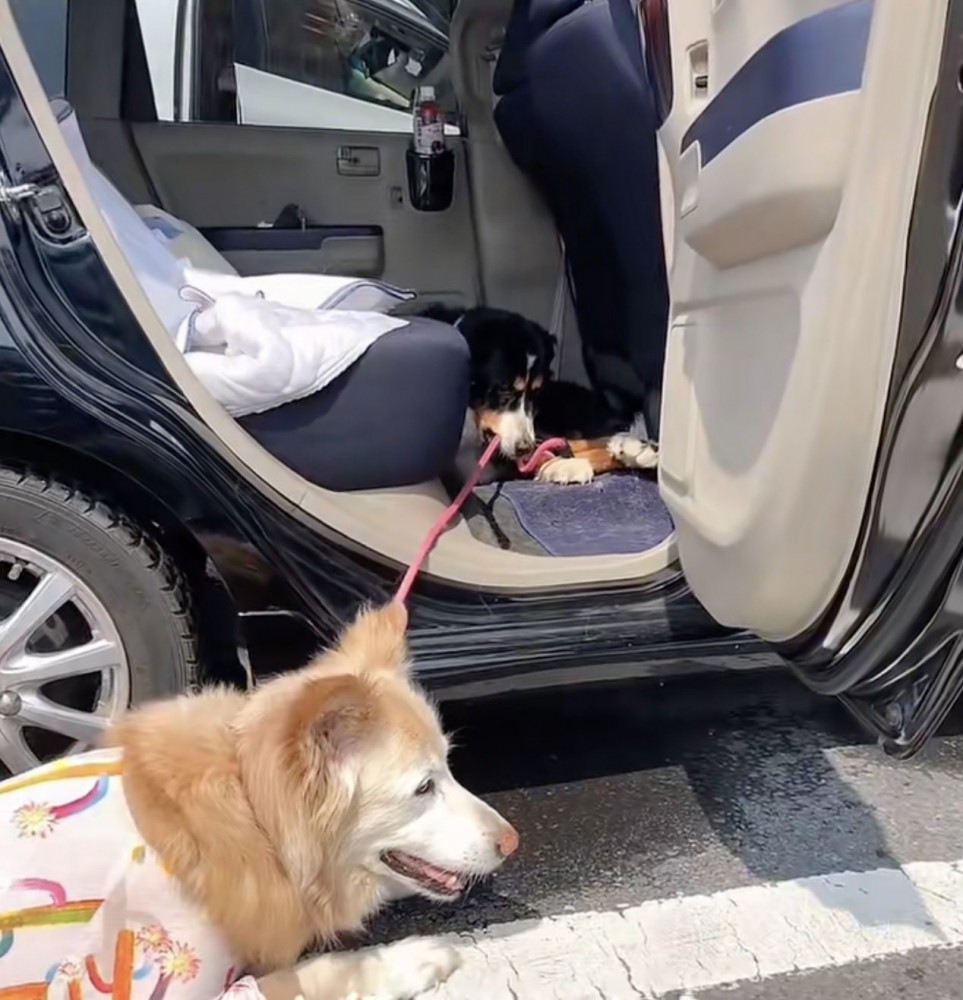 マリンちゃんも動けない