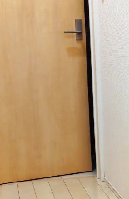 リビングの扉を開けると…