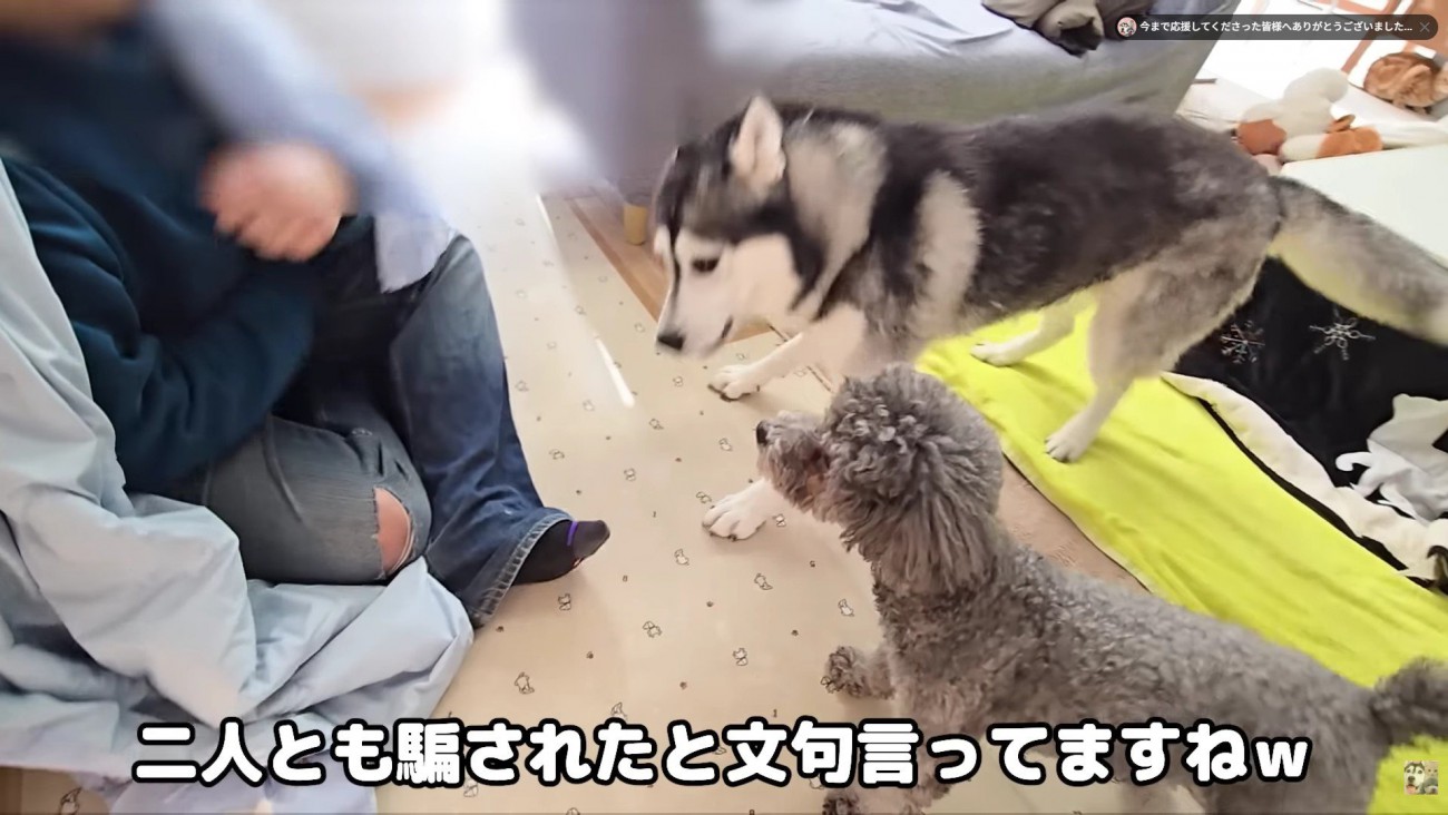 感情が大爆発！！