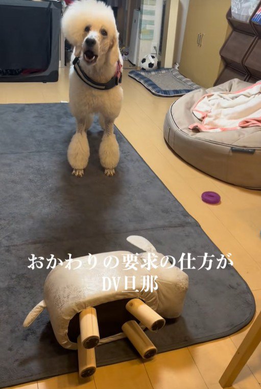 「早くおかわり持ってこいよ！」