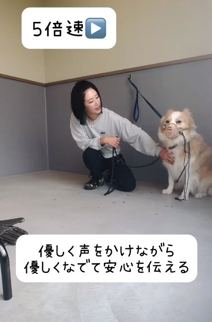 撫でられるそらくん