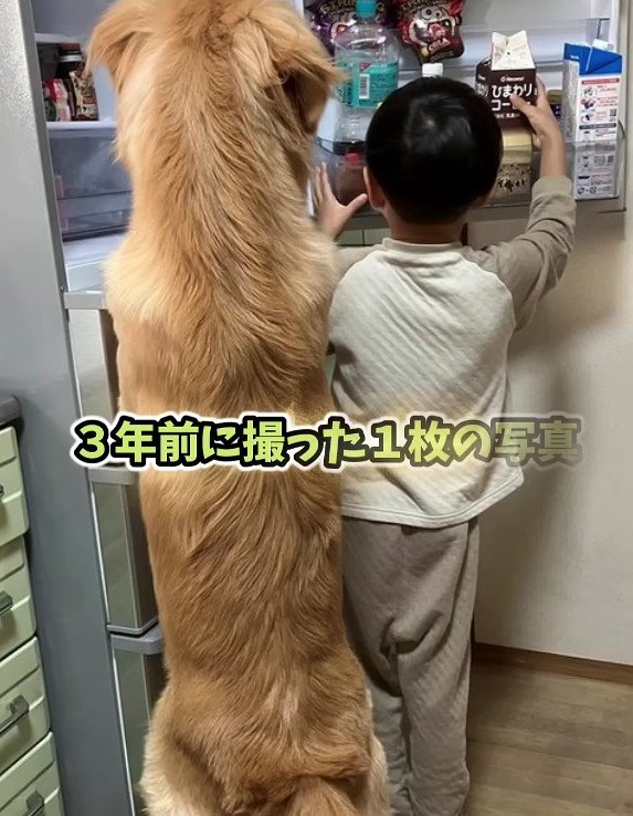 5歳の男の子とトトちゃん