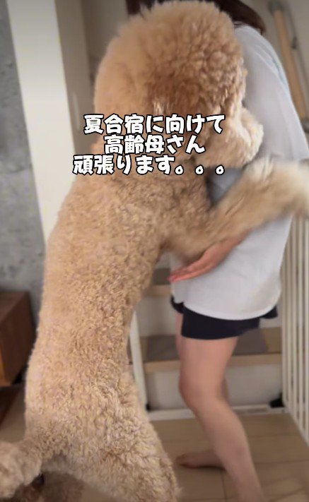 当日もうまくいきますように！