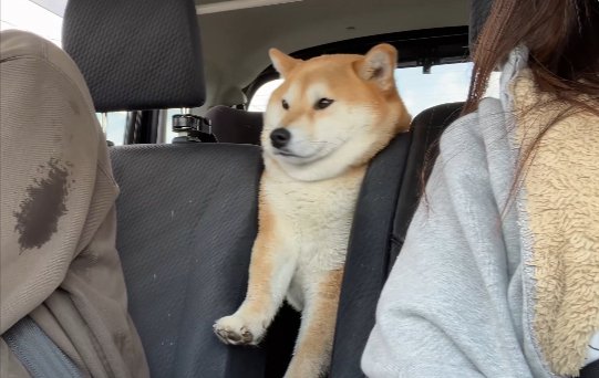 静かに