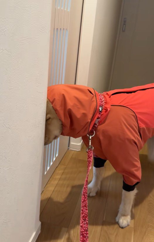 かわいすぎる抗議方法