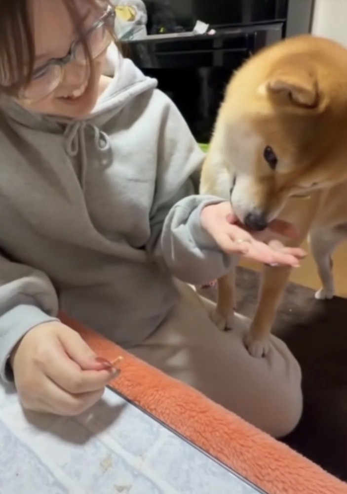 おやつを食べる犬