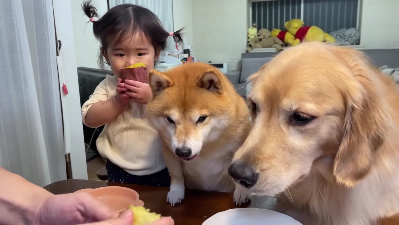 やった！抜けられた！