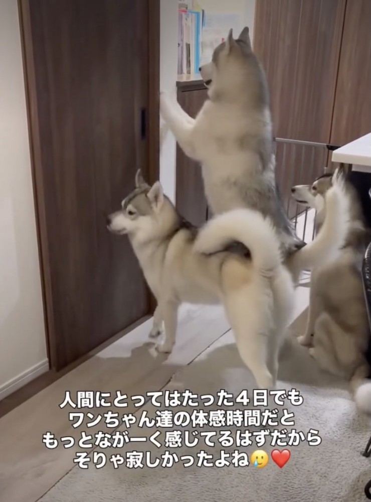 「パパまだかなー！」