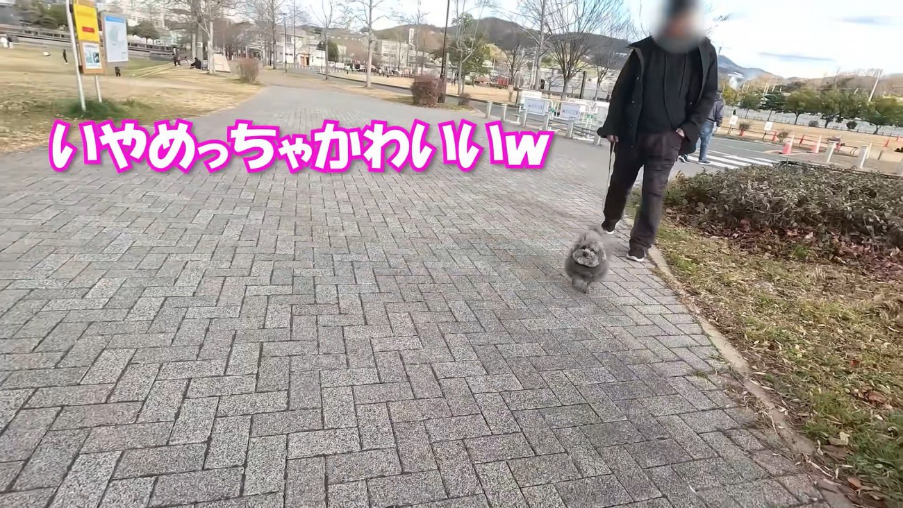 「可愛い」と言ってくれていますが…