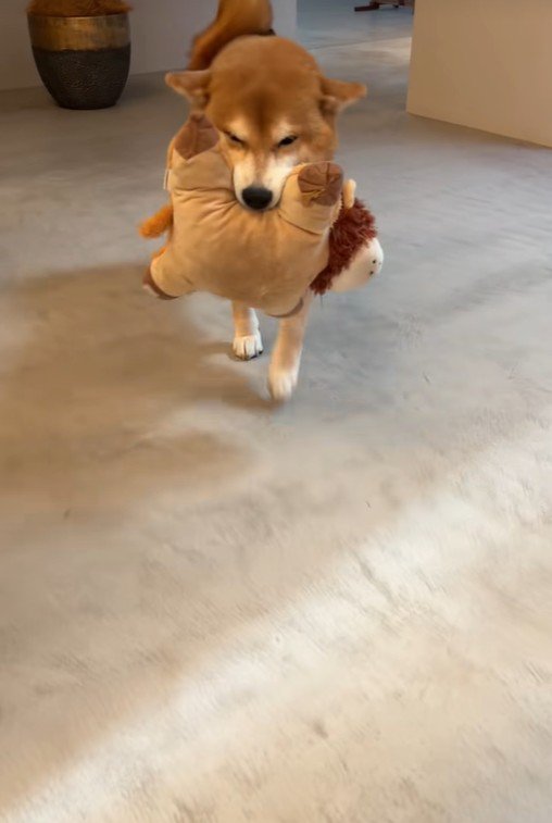 一度離れても、すぐそばにきて…