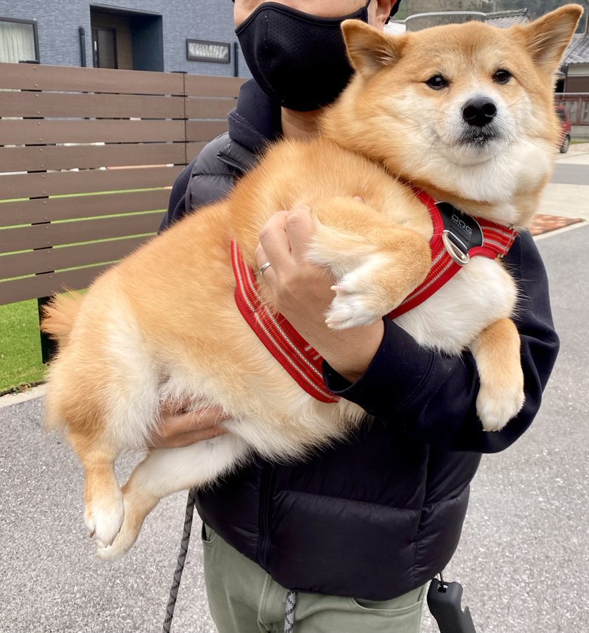 固まる