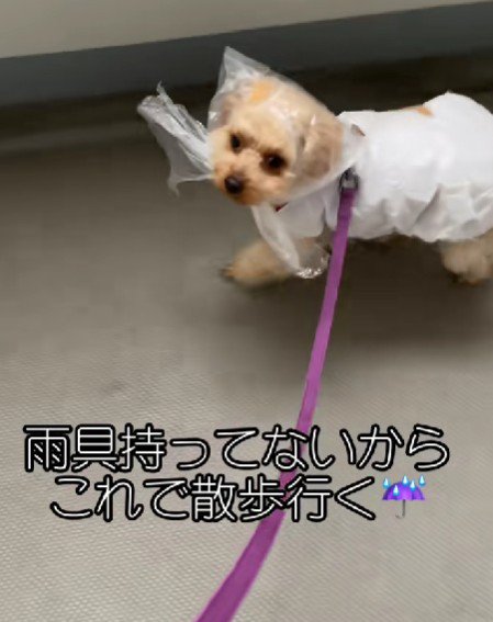 初期の自作カッパ