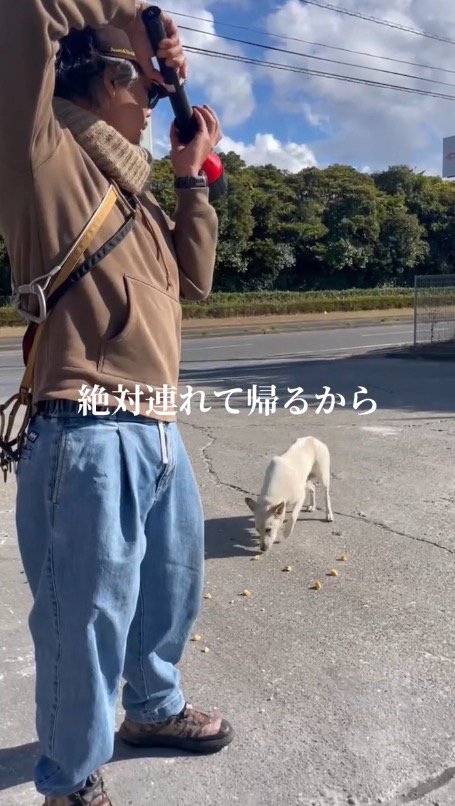 トラップを高く持ち上げて犬に向ける男性