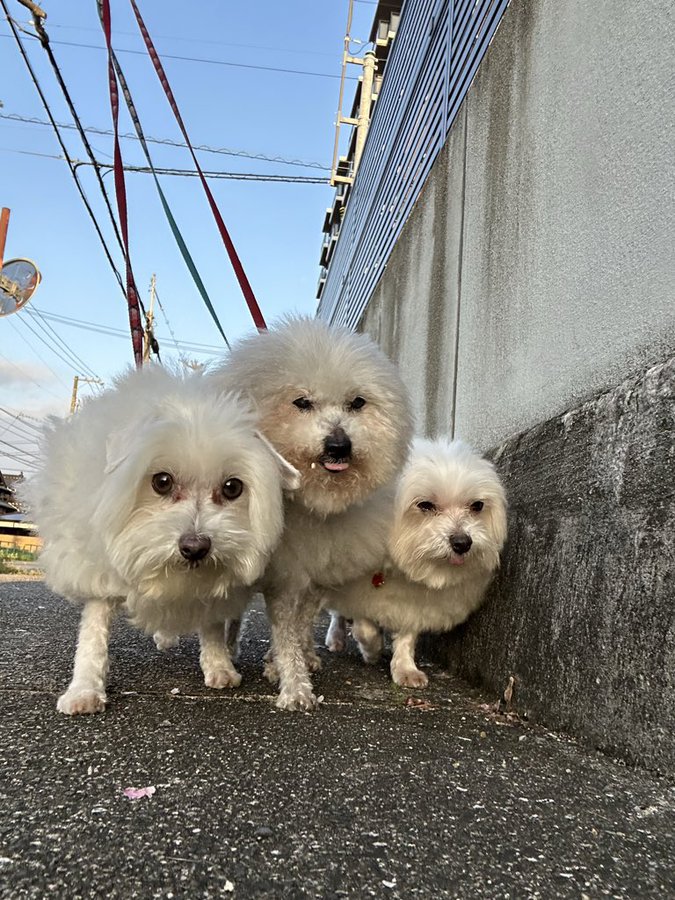 仲良し家族