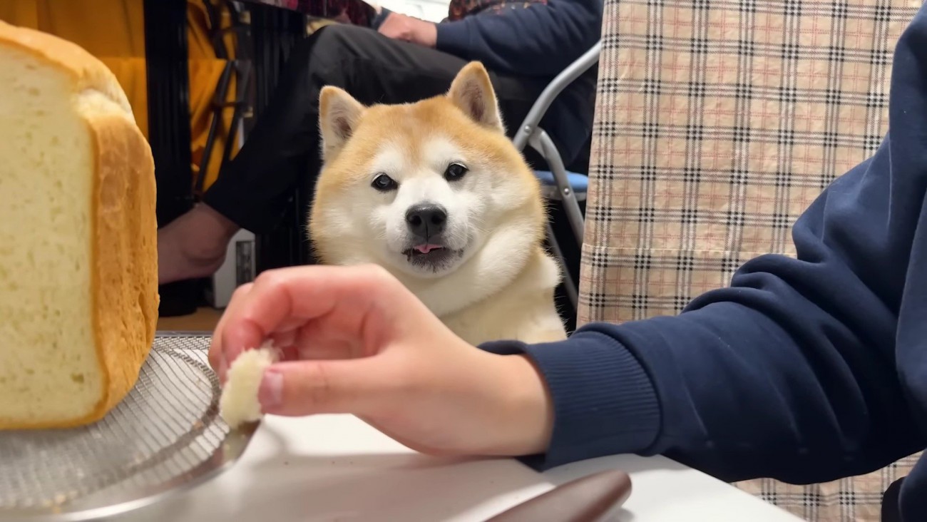 美味しくいただきました♪