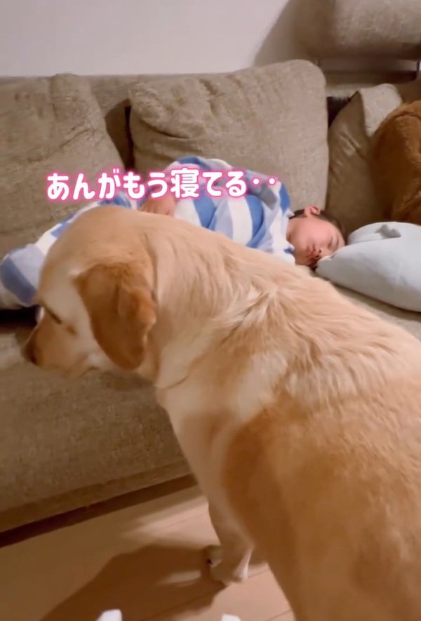 寝てしまった息子さん