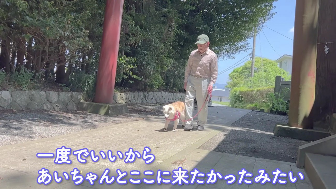 神社に到着しました♪