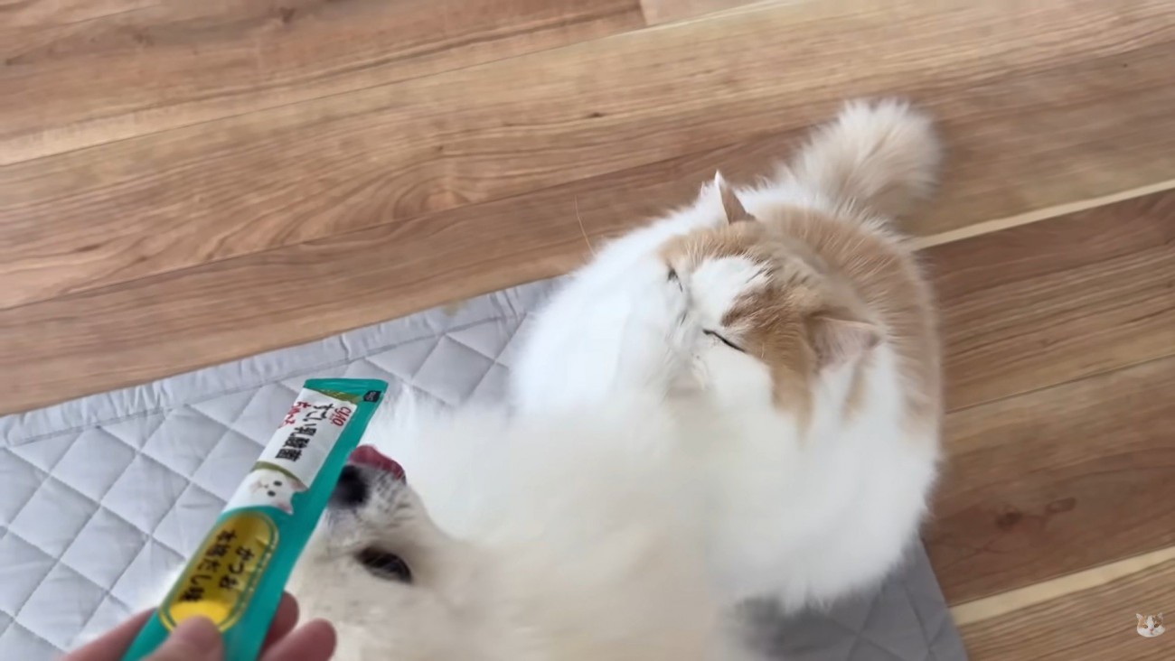 お手々が顔面に！