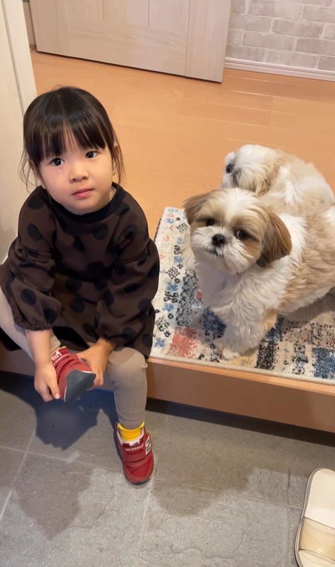 コロくんとチチちゃんと女の子の日常4