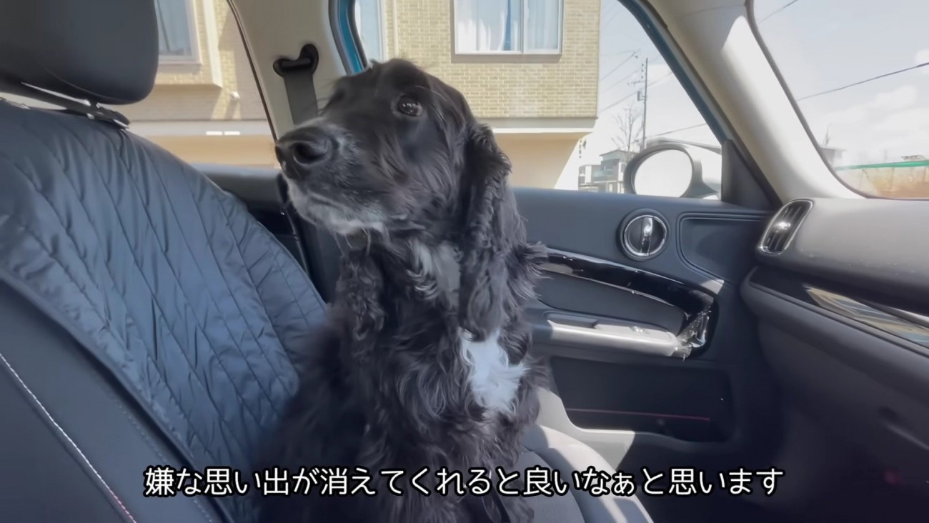 看護師さんが大好きなルッちん