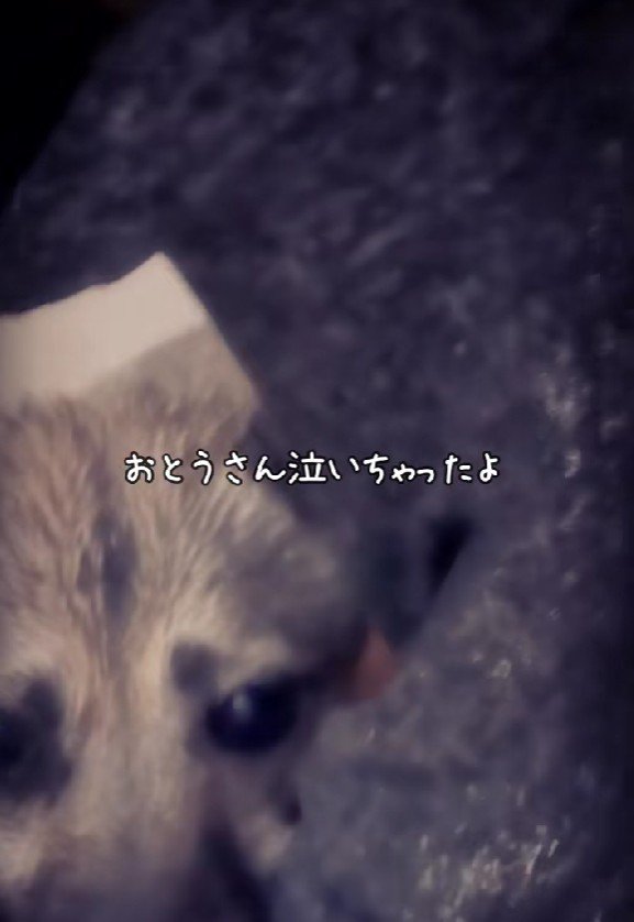 お父さんも思わず涙…