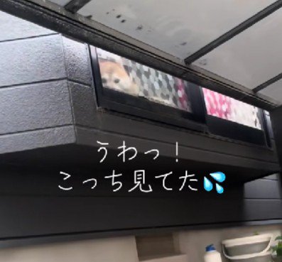 「ママ！おかえり！！」