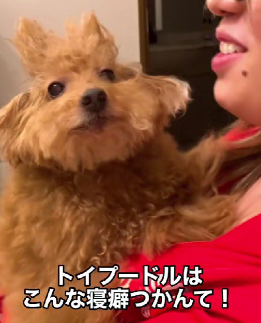 衝撃的な寝癖が！！