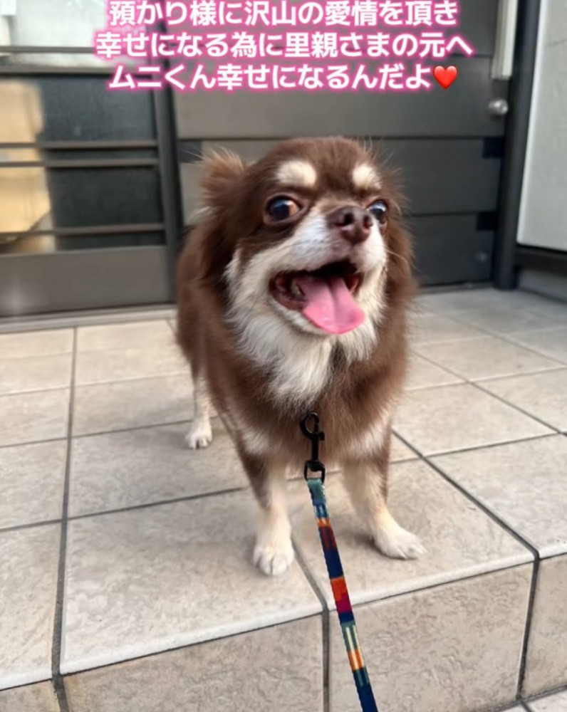 笑顔のムニくん