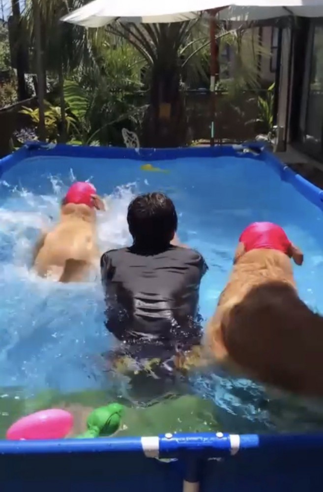 一緒にダイブする人と犬