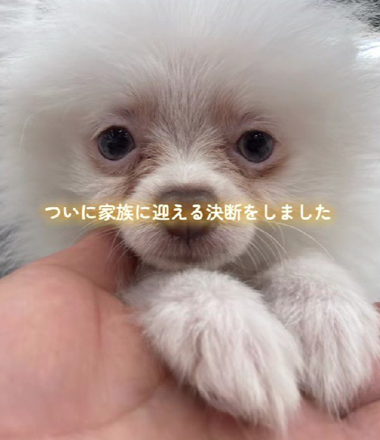 愛情を注ぎ続けたら…