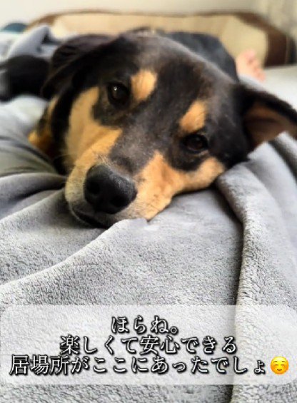 幸せそうな表情に涙…