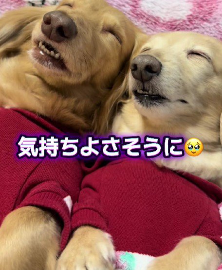 普段はとっても仲良し♪