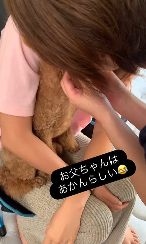 ドルくんの家族への態度の差3