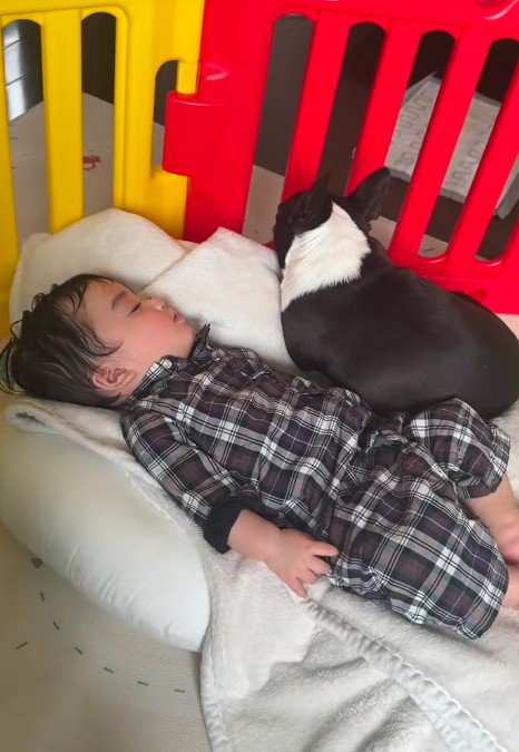 隣で添い寝をすることに