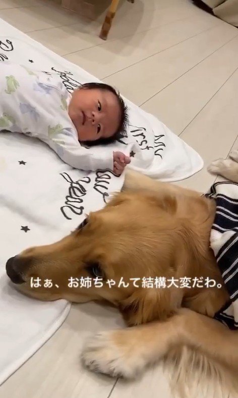 くららちゃんと赤ちゃん9