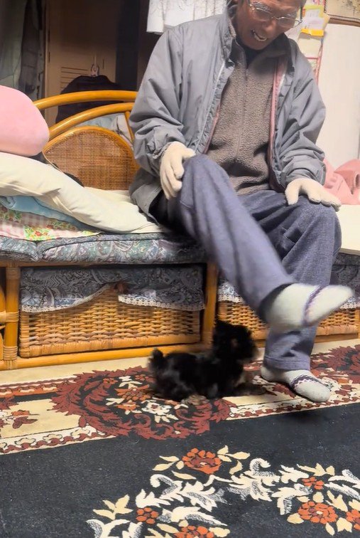 くぅちゃんとおじいちゃん