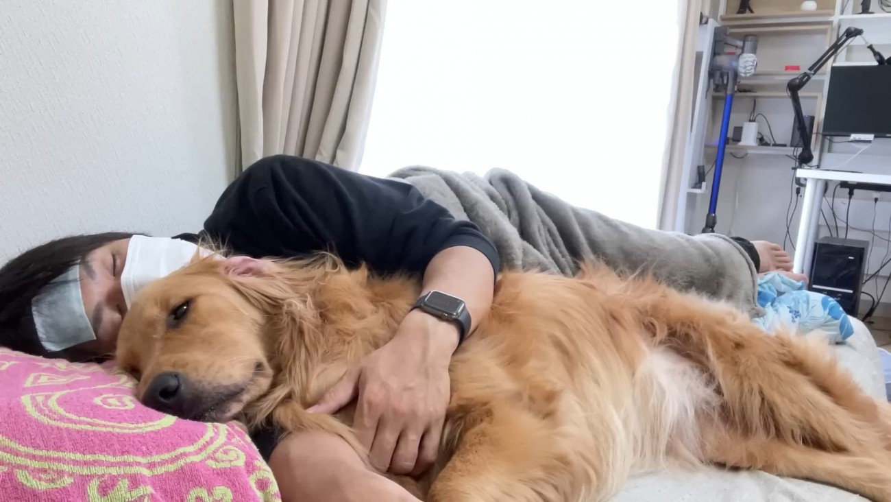 体調不良時のよもぎちゃん＆だいず君の対応8