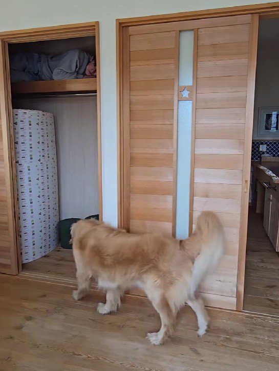 サンタちゃんがやってきた