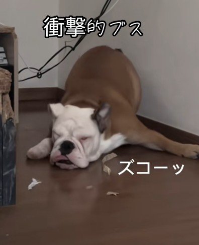 ドジっ子な一面も♡