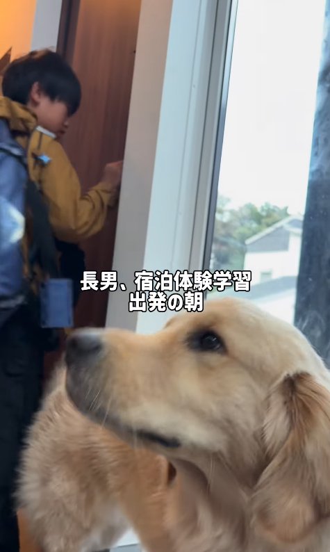 投稿主の長男を見送る大型犬