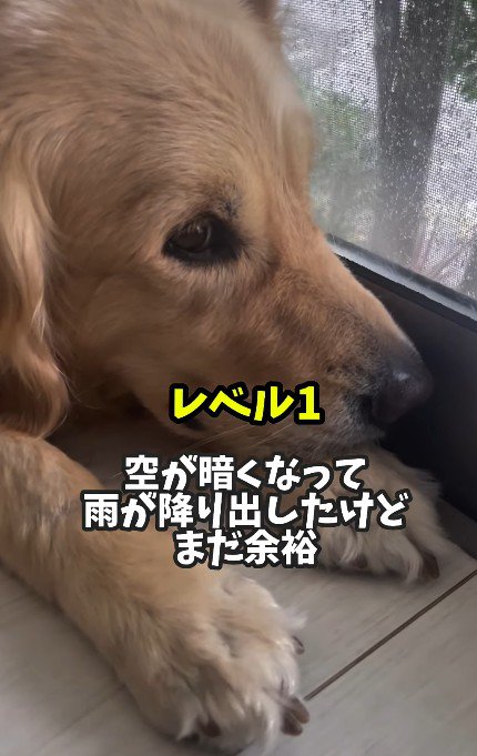 まだまだ余裕！