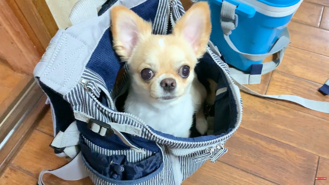 「早く行こう！」とワクワク♪