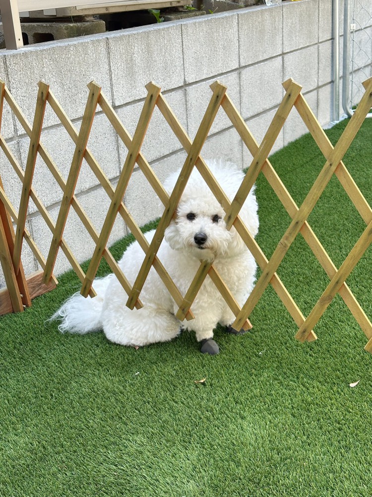 どっち