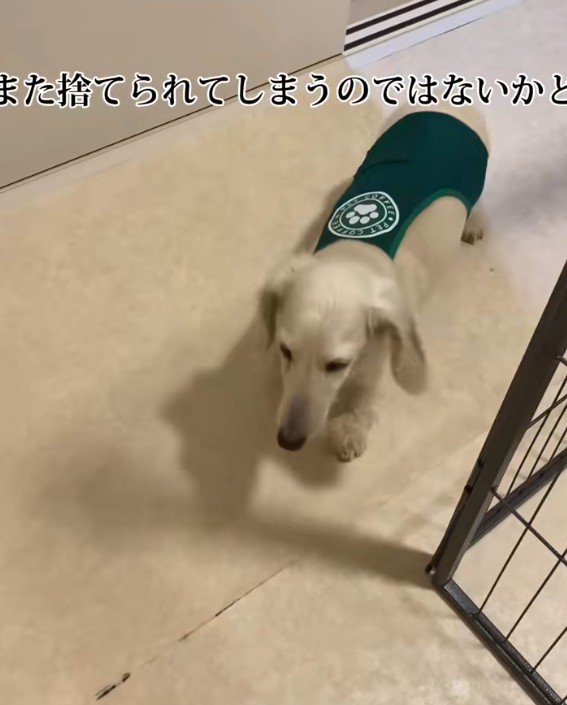 大人は苦手だけど…