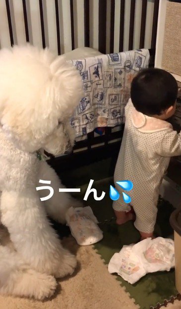 困惑のリアクションに爆笑