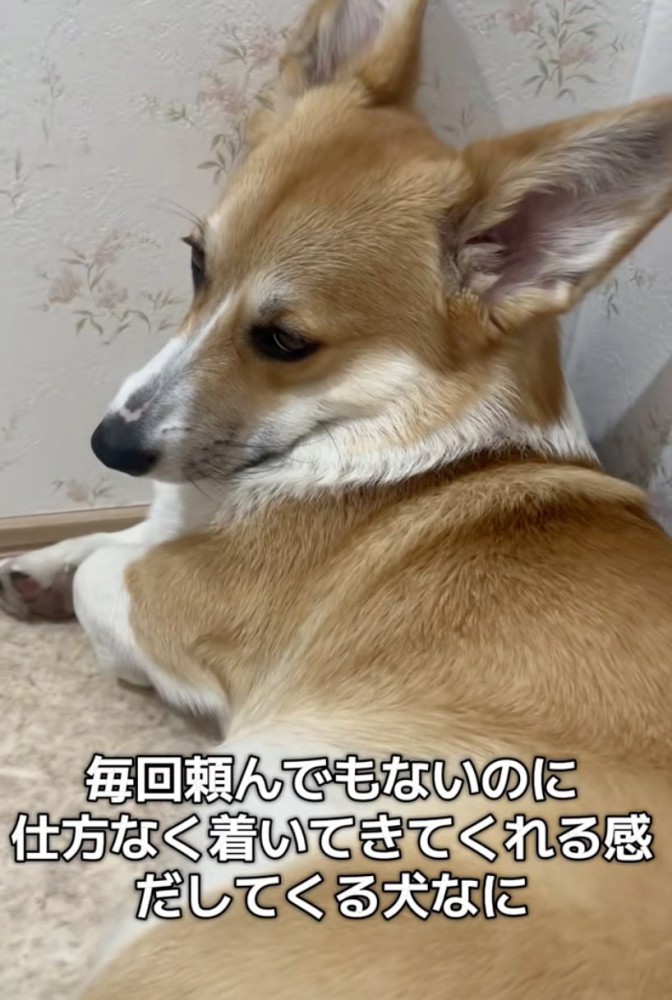 「早くして」感、全開