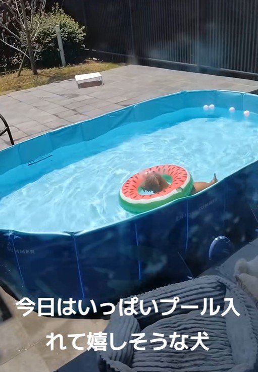 後日、プールで遊ばせてあげたら…