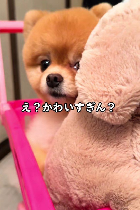 手押し車に乗る役だよ