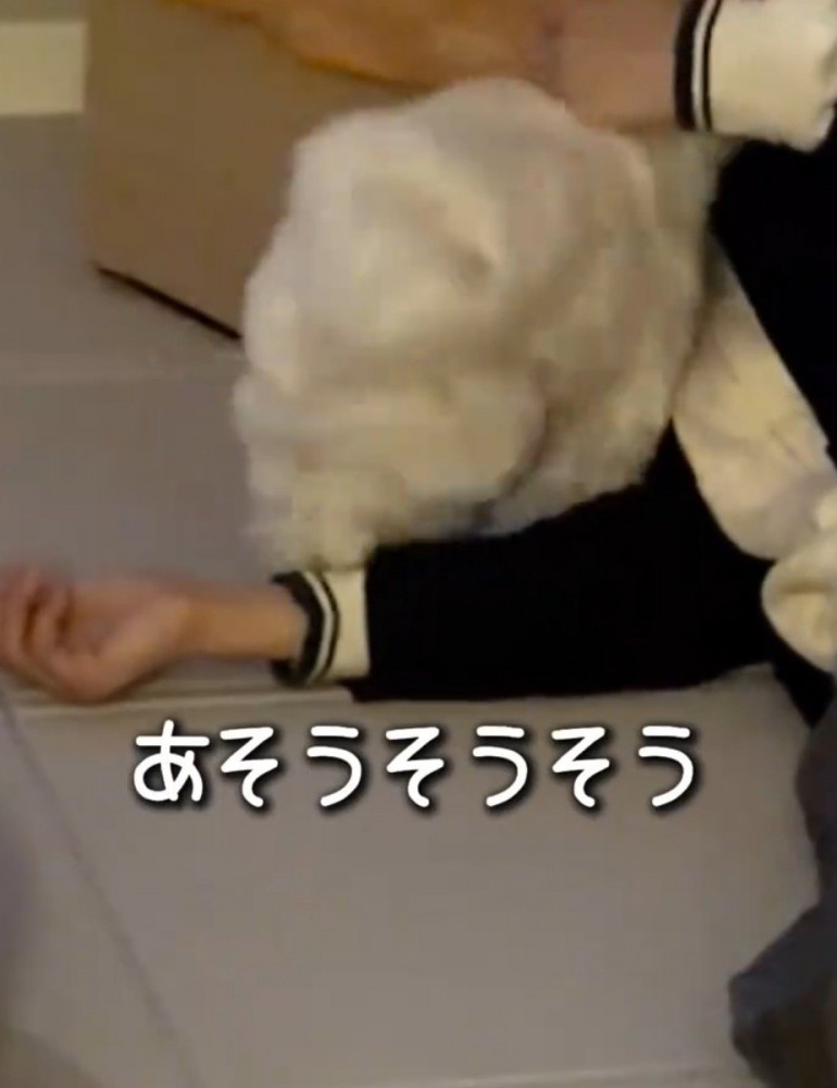 横になったまま犬の背中に手を置く飼い主