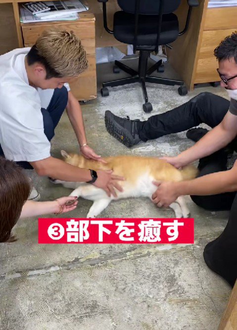 愛されているはちくんでした♡